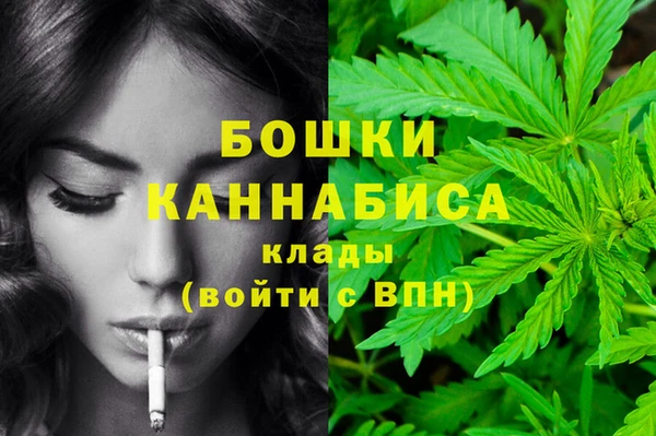 скорость Вяземский