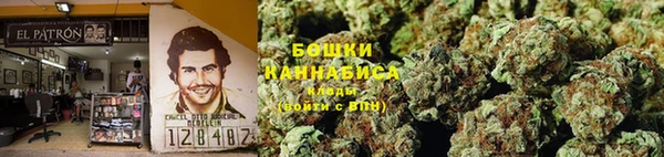 ПСИЛОЦИБИНОВЫЕ ГРИБЫ Михайловка