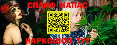 мдпв Волжск