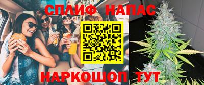 дживик Гагарин