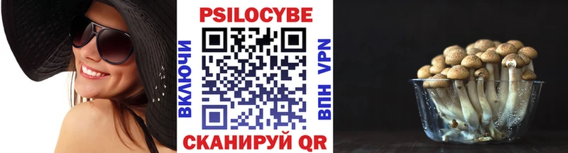 Галлюциногенные грибы Cubensis  где можно купить наркотик  Губкин 
