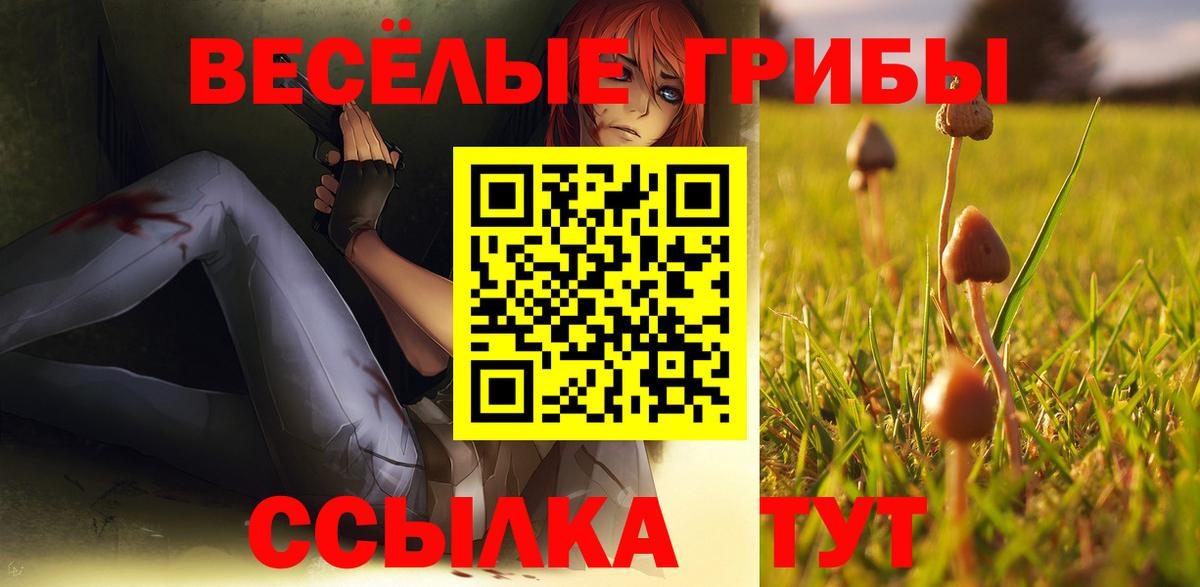 Псилоцибиновые грибы Cubensis  купить   Губкин 