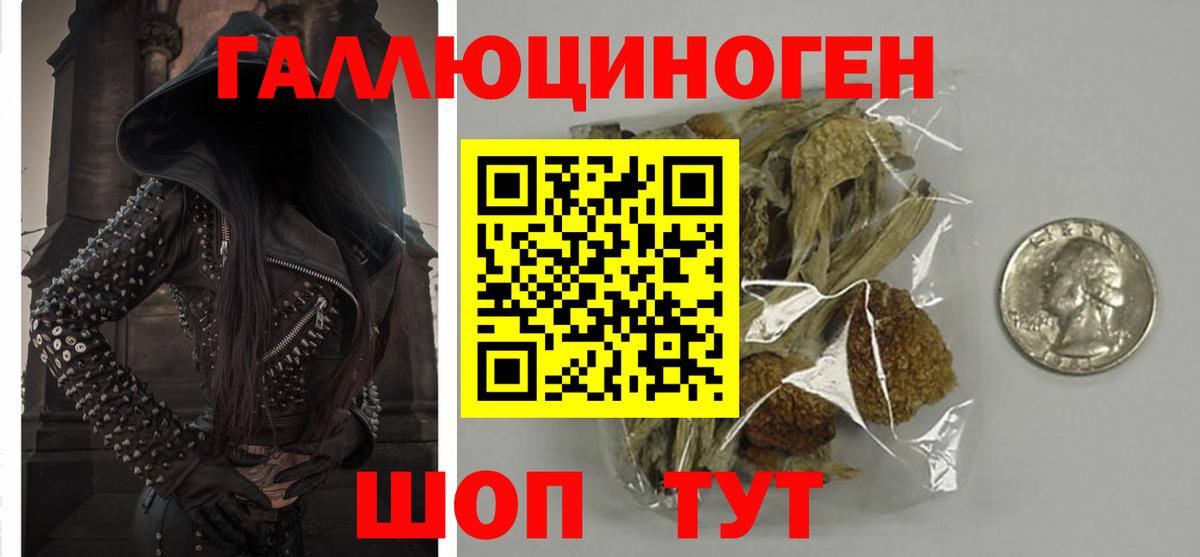 Галлюциногенные грибы Psilocybe  Вход с VPN  магазин продажи   Псилоцибиновые грибы Cubensis  Губкин 